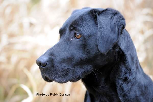 gem_DSC_web 0729-1.jpg